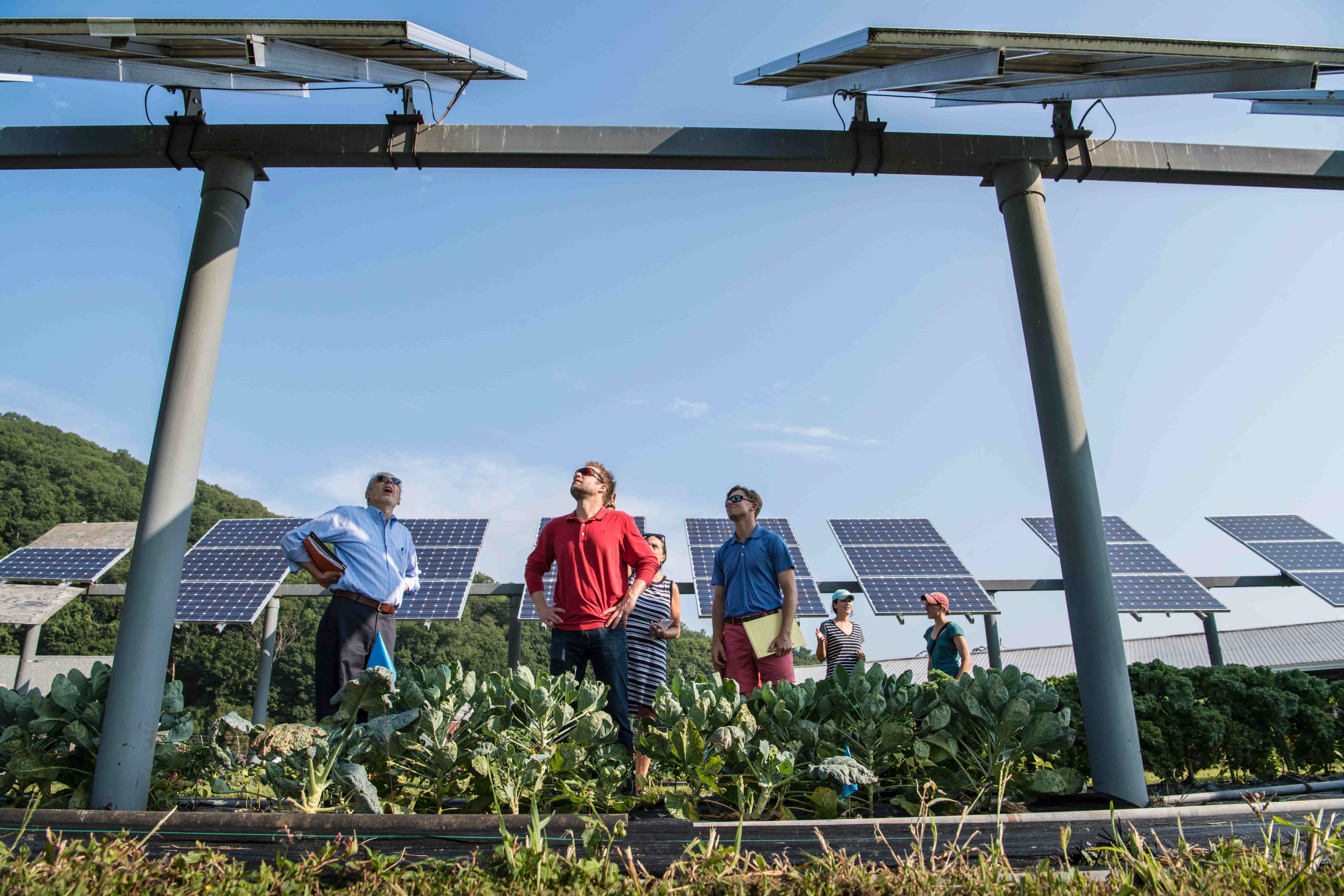 Agriculture and Food Research Initiative Competitive Grants Program Education and Workforce Development Program